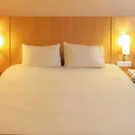 Ibis