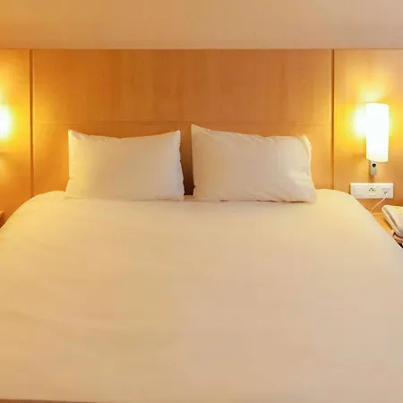 Ibis 3*